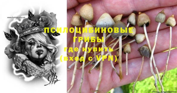 твердый Алексин