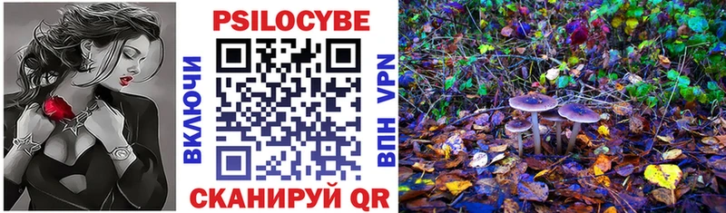 купить закладку  Бирск  Галлюциногенные грибы Psilocybine cubensis 