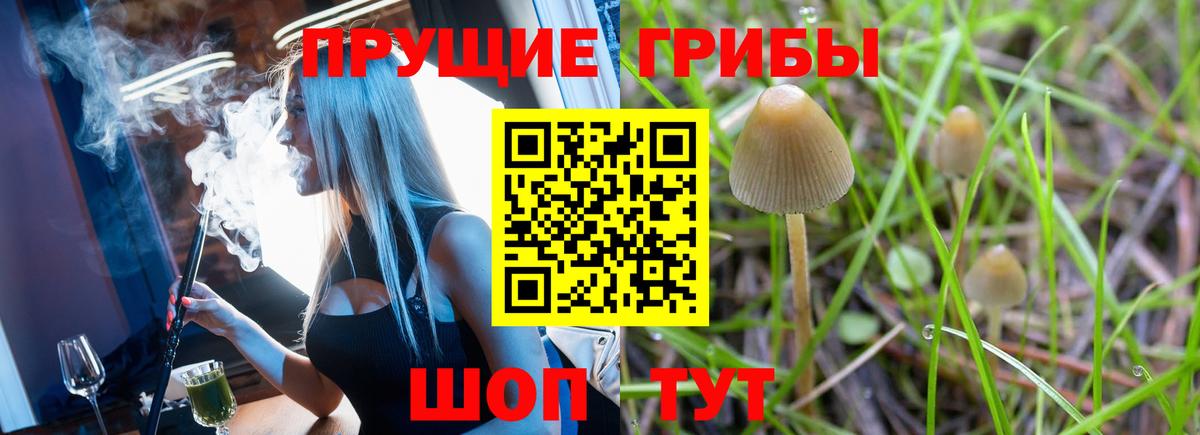 Псилоцибиновые грибы Cubensis  где купить   Бирск  Вход с VPN  Галлюциногенные грибы Cubensis 